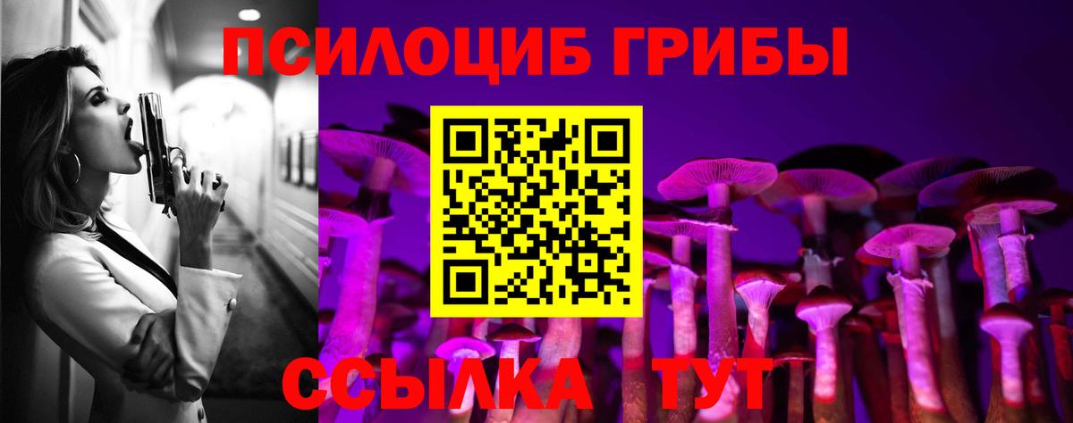 Псилоцибиновые грибы Magic Shrooms  Вход с VPN  сколько стоит  Галлюциногенные грибы Psilocybe  Берёзовский 